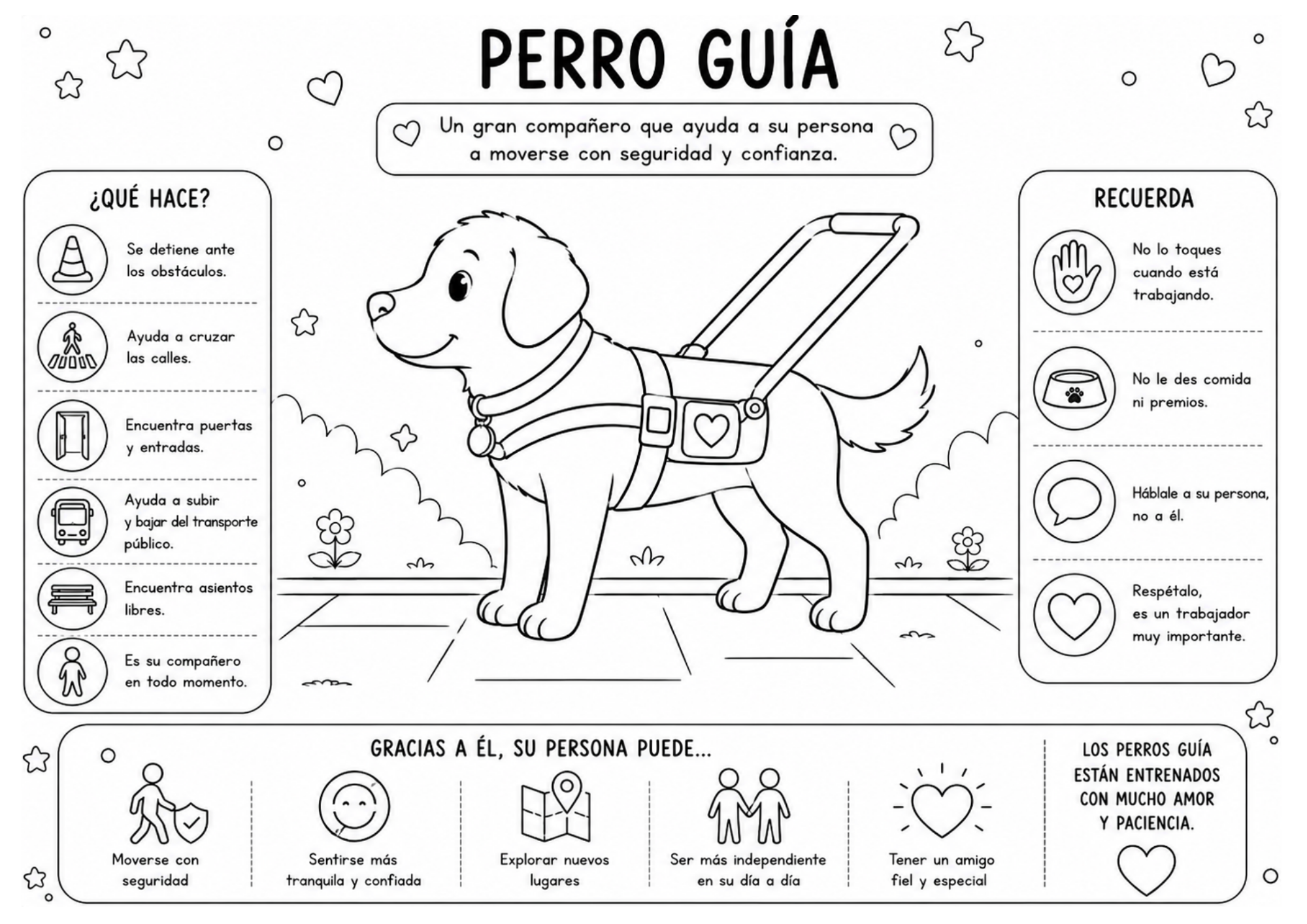 INFOGRAFIA PERRO GUÍA