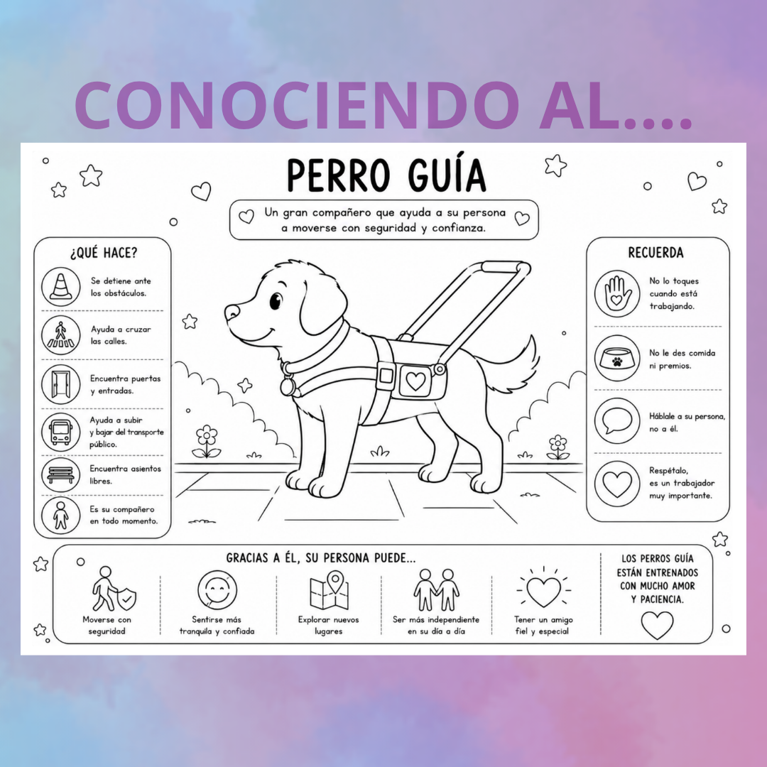 RECURSO GRATUITO_INFOGRAFIA PERRO GUÍA